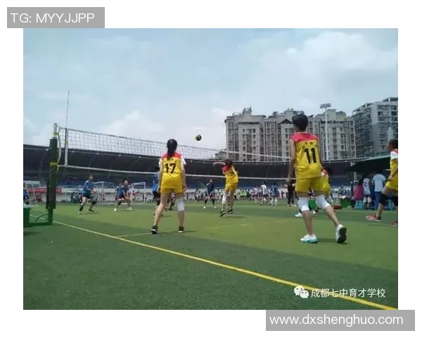 成都排球队表现卓越最新排球状态TOP10榜单揭晓