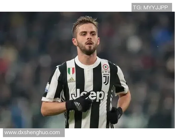 西班牙人引进前意大利国脚皮亚尼奇，球队雄心勃勃向前迈进