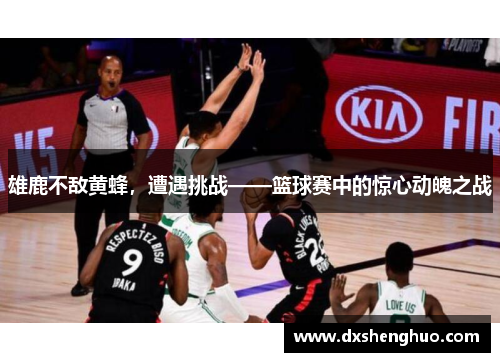 雄鹿不敌黄蜂，遭遇挑战——篮球赛中的惊心动魄之战