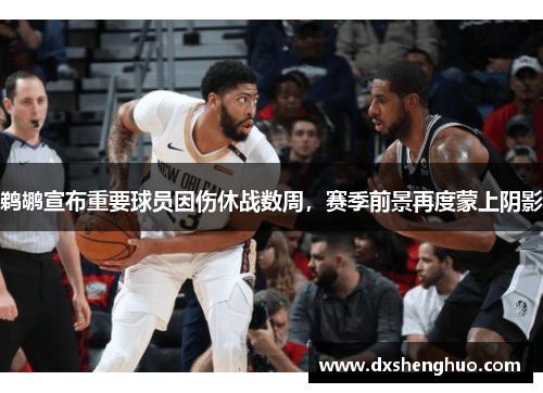 鹈鹕宣布重要球员因伤休战数周，赛季前景再度蒙上阴影